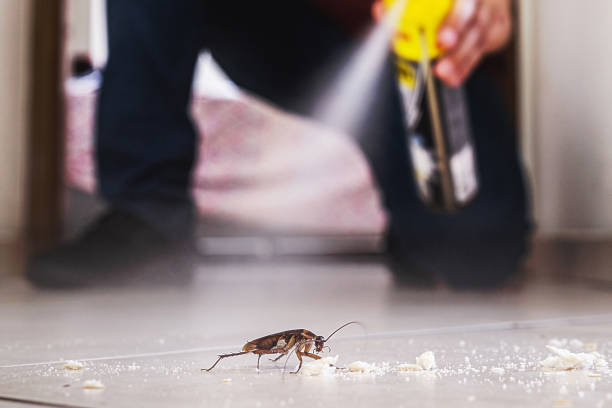 Best Termite Control Services  in Greenville, GA